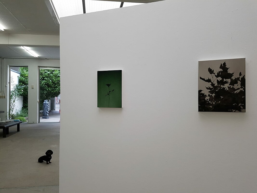 bertram hasenauer, fritz bornstueck, roger wardin, galerie anja knoess, galerie köln, zeitgenössische kunst, contemporary art, kunst kaufen, art cologne, kunst köln, galerien nrw