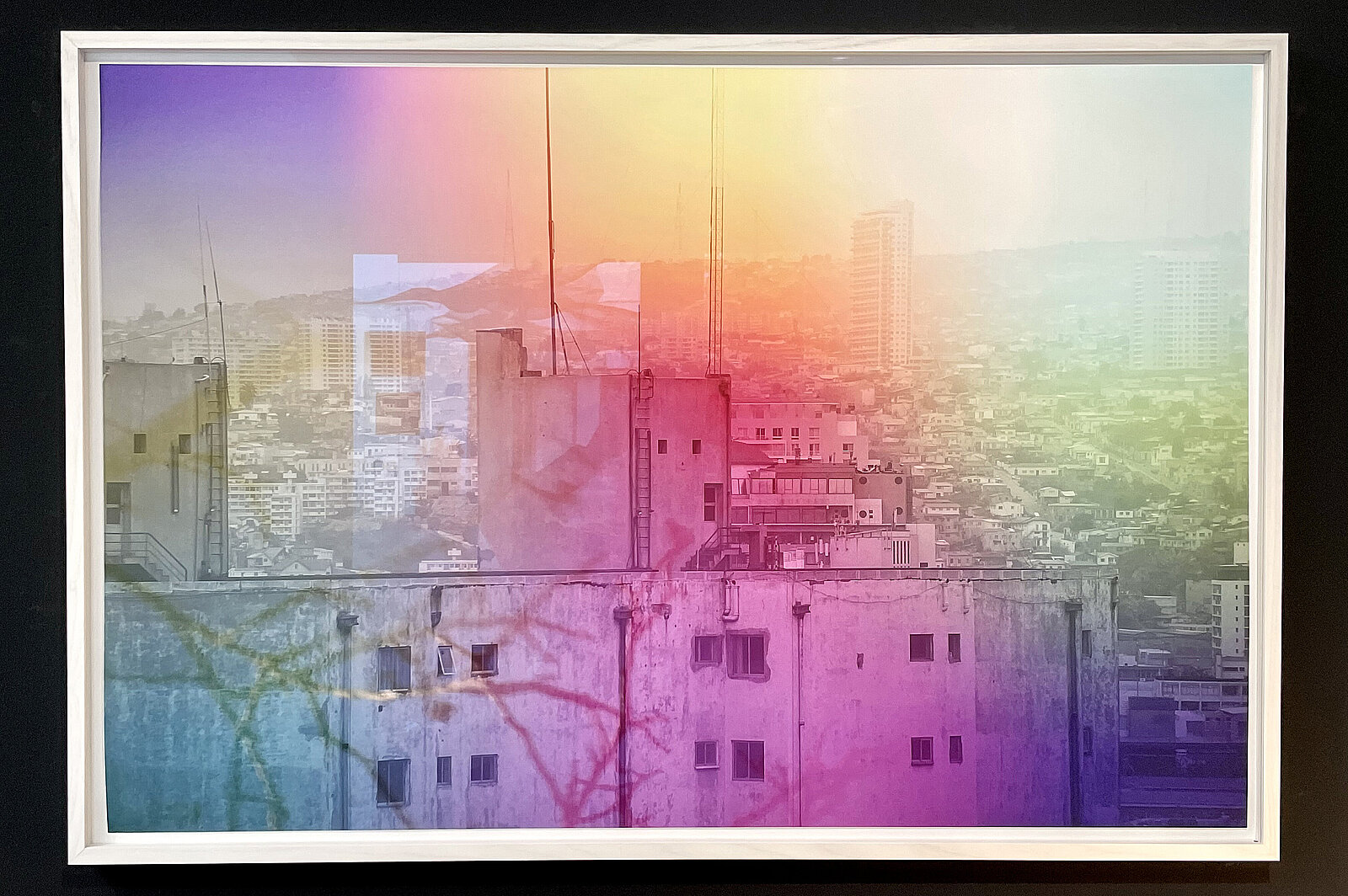 galerie anja knoess, galerie köln, zeitgenössische kunst, contemporary art, kunst kaufen, art cologne, kunst köln, galerien nrw