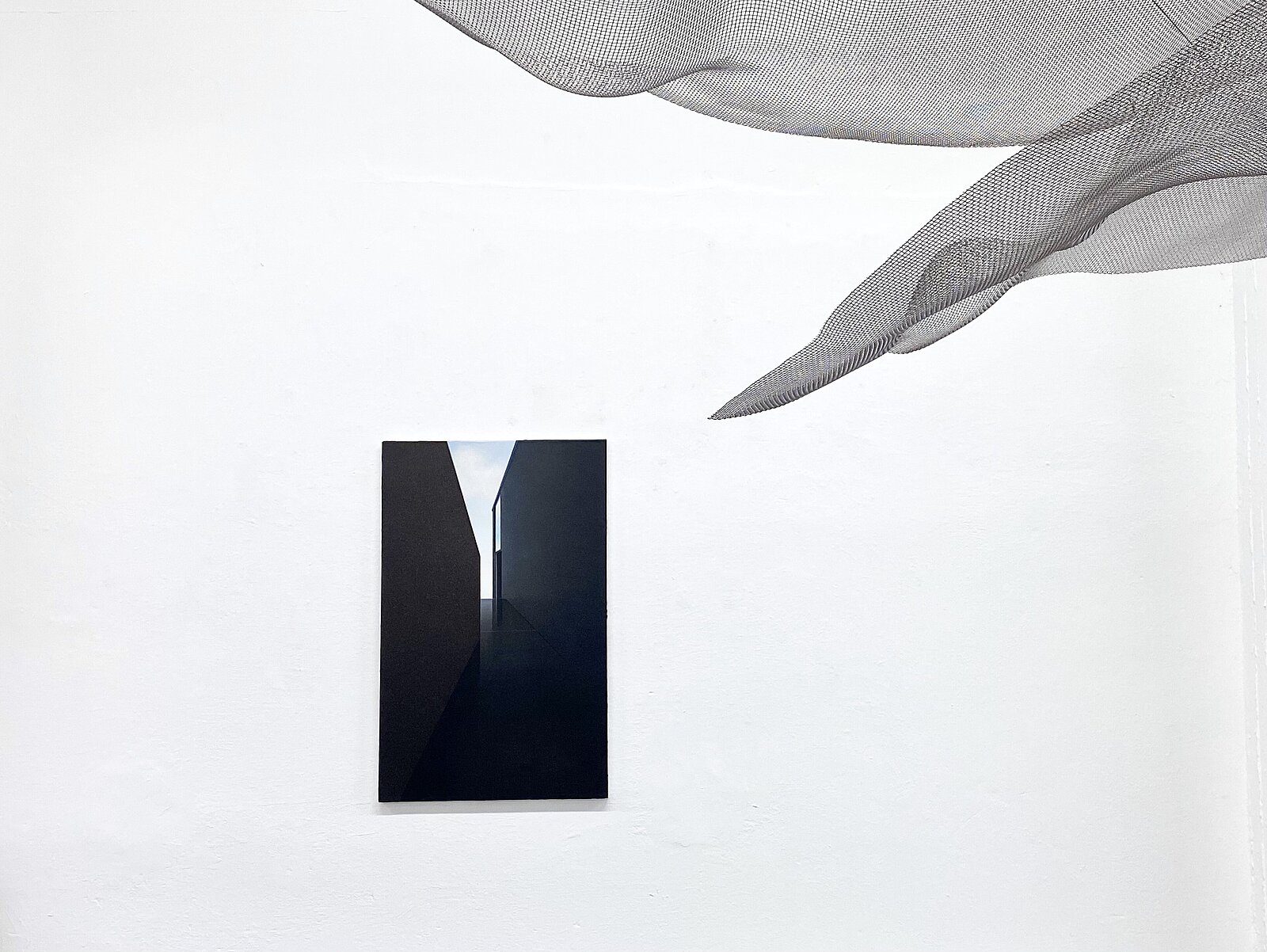 galerie anja knoess, galerie köln, zeitgenössische kunst, contemporary art, kunst kaufen, art cologne, kunst köln, galerien nrw